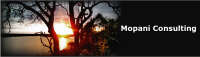 Mopani business consultants ltd