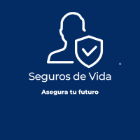 Garantice su futuro llc
