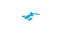 Gohammerhead