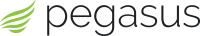 Pegasus erp solutions
