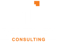 Bentley business consulting