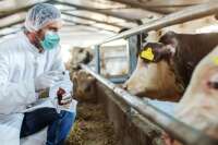 Best Veterinary PCD Pharma Company In India