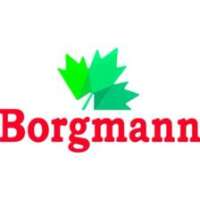Borgmann garten u. landschaftsbau gmbh