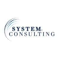 System consulting srl