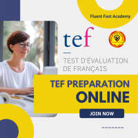 Fluent fast academy