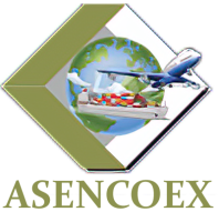Asencoex s.a.c.