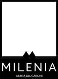 Area milenia sl