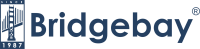 Bridgebay financial, inc.