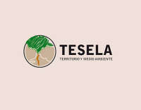 Tesela. territorio y medio ambiente