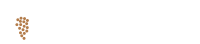Vineyard capital partners, llc