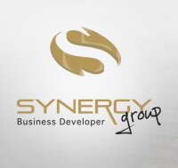 Synergy group business developer