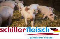 Schiller fleisch gmbh