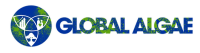 Global algae innovations, inc.