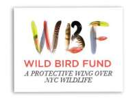 The Wild Bird Fund