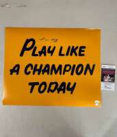 Play like a champion b.v.