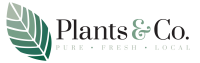Plantplant & co