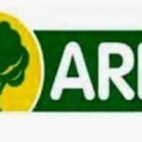 Grupo el arbol distribucion y supermercados unipersonal