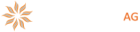 U.s. tax services ag