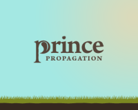 Prince propagation