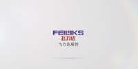 Jiangsu feiliks international logistics inc.