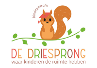 Driesprong groep