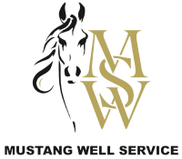 Mustang well services ltd.