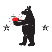 Bear cider