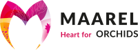Maarel orchids