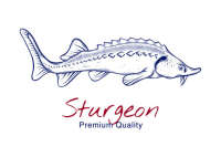 Sturgeon digital