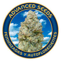 Advance seed