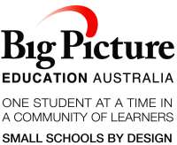 Big picture thinking (australia)