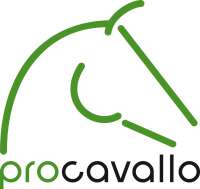 Procavallo gmbh