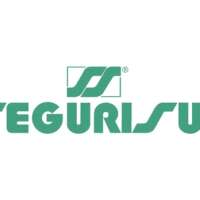 Segurisur,s.l.