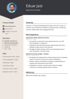 Accent source professional appointment setters