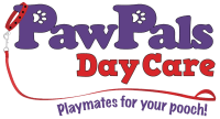 Pawpals daycare