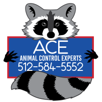 ANIMAL CONTROL EXPERTS LLC
