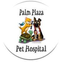 Palm plaza pet hospital