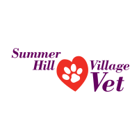 Summer hill village vet