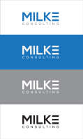 Habieb management consulting