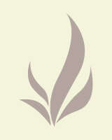 Chicago cognitive behavioral treatment center