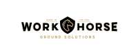 Workhorse theatre company