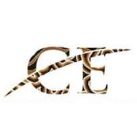 Cheeditha energy pty ltd
