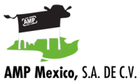 Amp proyectos méxico