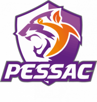 Spuc handball
