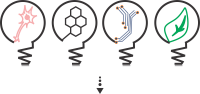 Biointerface gmbh