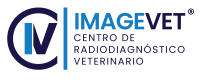 Tac diagnóstico veterinario
