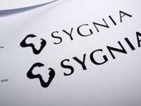 Sygnia asset management