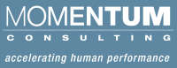 Momentum consulting group pty ltd