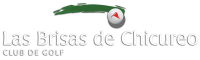 Inmobiliaria las brisas de chicureo s a