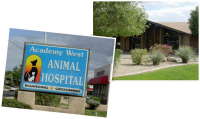 Academy west animal hospital